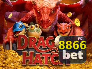 8866BET PIX instantâneo Brasil - Depósito e saque em minutos 24/7